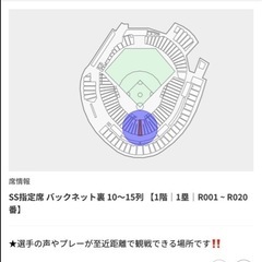 カープチケット2枚の画像