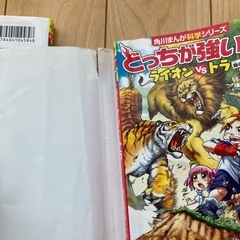 【人気シリーズ2冊セット】どっちが強い！？ ゴリラvsクマ／ライオンvsトラの画像