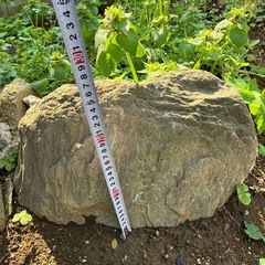 庭石1個10円の画像