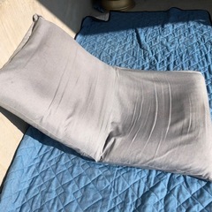 座椅子　リクライニング グレー　ドウシシャ製　無料の画像