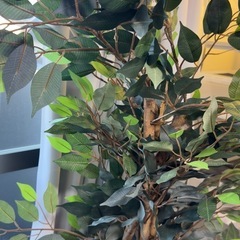 【大型】フェイクグリーン 人工観葉植物 フィカス風 大きいサイズ インテリアの画像