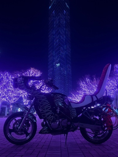 バリオス1型
