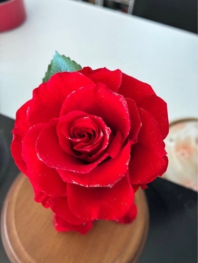 プリザーブドフラワー    バラ
