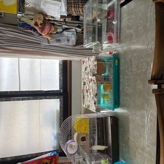 お取引中です。の画像