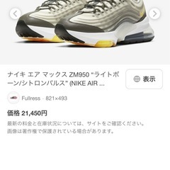 ナイキエア マックス ZM950の画像