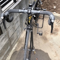 サガンスーパースターカラーのTARMAC SPORT 2018年モデルの画像