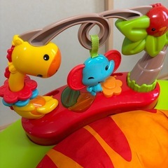 レインフォレスト・ジャンパルー
の画像