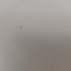 リンクマット　4枚セットの画像