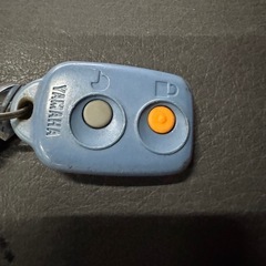 必見！リモコンジョグZRエボ！2st SA16の画像