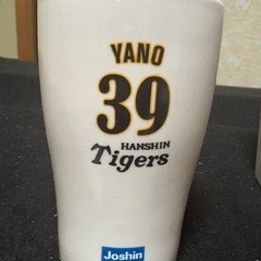 2008年 阪神コップの画像