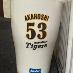 2008年 阪神コップの画像