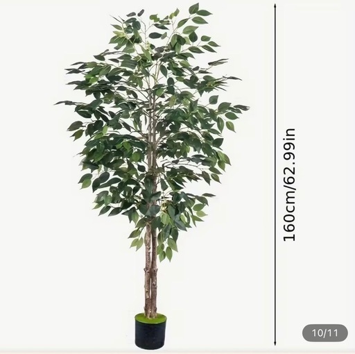 【美品】観葉植物 大型