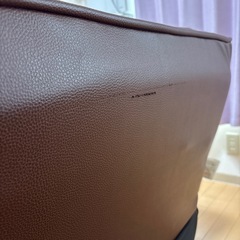 2人用脚付きソファー座椅子(ニトリ)の画像