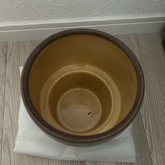 鉢の画像