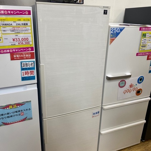 ⭐️美品⭐️2018年製 SHARP 271L冷蔵庫 SJ-PD27D-W  プラズマクラスター  ボトムフリーザー たっぷり野菜ケー