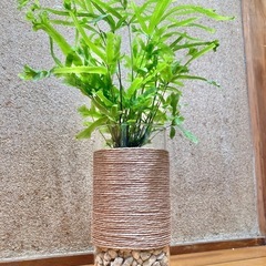 観葉植物　プテリス ロウェリーとガラス製鉢カバーの画像