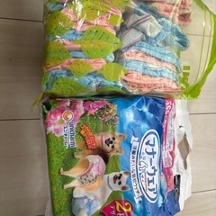 ペット　マナーウェアの画像