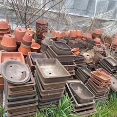 植木鉢　おしゃれ　陶器の画像