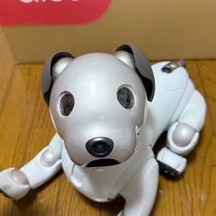 aibo(アイボ)ソニー、エンタテインメントロボット の画像