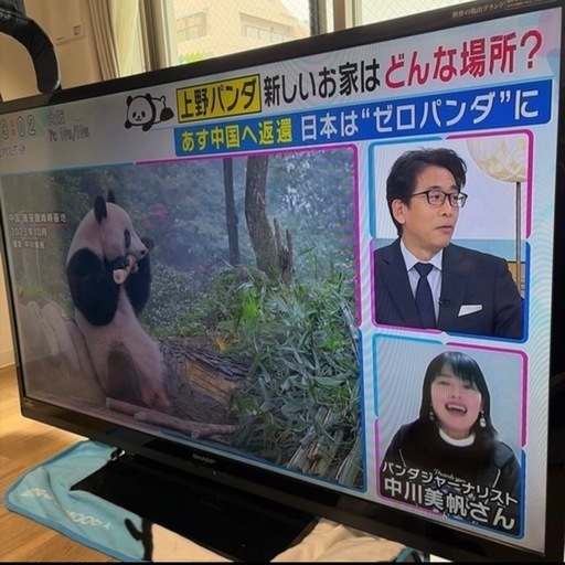【４月中限定再値下げ】60インチSHARP TV