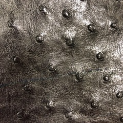 ジモティ割引有★【ジャングルジャングル岸和田店】オーストリッチ セカンドバッグ ブラック　南大阪 岸和田市 貝塚市 泉佐野市 和泉市 忠岡町 熊取町の画像