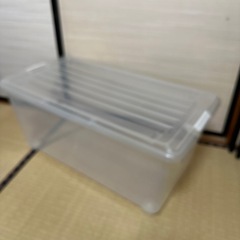 ✨お話中✨の画像