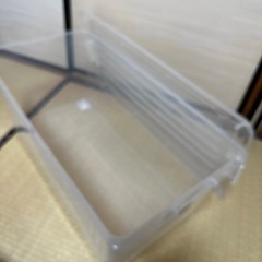 ✨お話中✨の画像