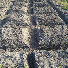 【自由参加型】野菜づくりイベントのご案内