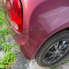 アルトラパンの画像