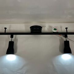 天井照明 ダクトレール スポットライト2灯 照明器具 黒 の画像