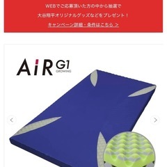 大谷翔平 新品未使用品 西川 AiR G1 マットレス 子供用 枕付き 