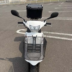 スズキ　アドレス
の画像