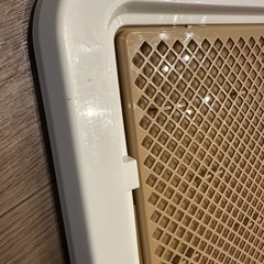 【無料】ペット用トイレトレー（未使用・DAISO）の画像
