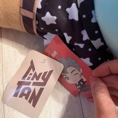 タイニータンメガジャンボねそべりぬいぐるみの画像