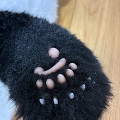 【実物の重さ】パンダのぬいぐるみの画像