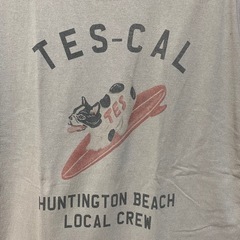 エンドレスサマー　　　TES  半袖Tシャツ　　ブラウン系の画像