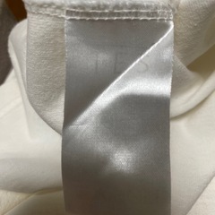 エンドレスサマー　　TES  半袖Tシャツ　　白　　タイガーの画像