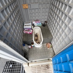 仮設トイレの画像