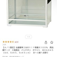 パンテオン　ホワイト　WH6045の画像