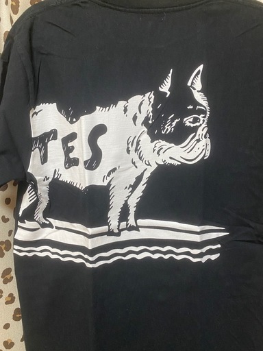 エンドレスサマー　　TES    半袖Tシャツ　　ブラック