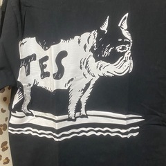 エンドレスサマー　　TES    半袖Tシャツ　　ブラックの画像