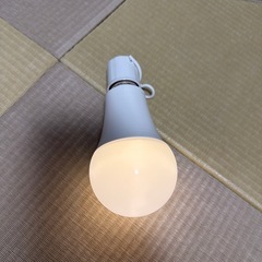 LED電球
　　　　　の画像