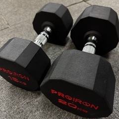 PROIRON 鋼 ダンベル だんべる 16kg 20kg 鉄アレイ トレーニング 筋トレ ダイエット 新生活の画像