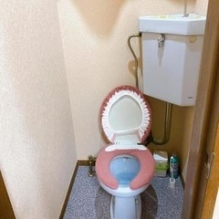 トイレ、木材、棚など