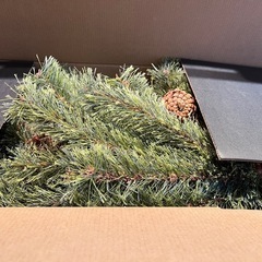 アルザスクリスマスツリー120の画像