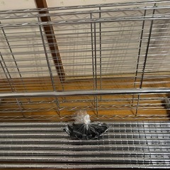 アイリスオーヤマ　ハンガーラック付きスチールラックの画像