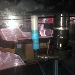 120cm用水槽　　レイシーポンプの画像