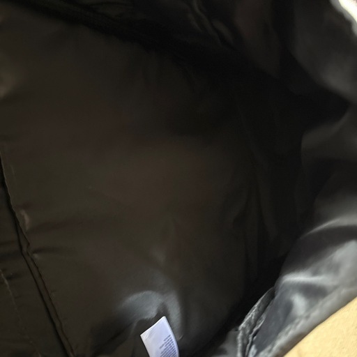 the north face 30L リュック