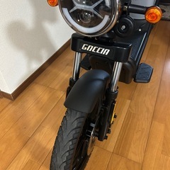 ゴッチア gev600の画像