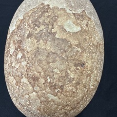 姫川薬石・超特大5.9kgの画像